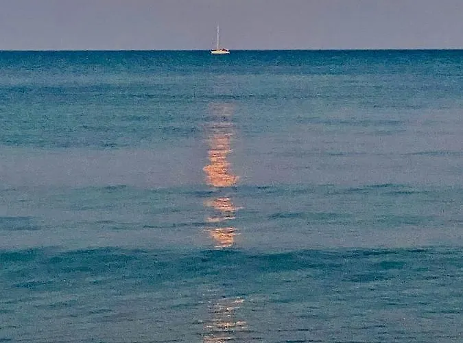 Grace House Пила